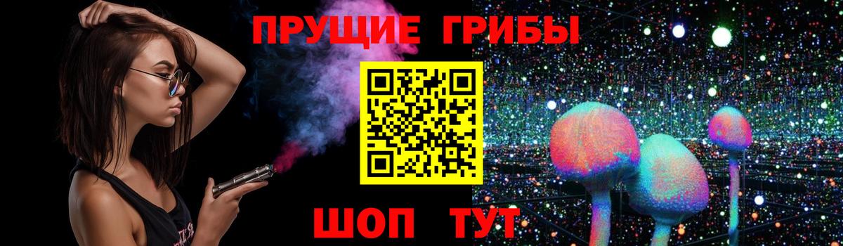 Галлюциногенные грибы прущие грибы  Псилоцибиновые грибы MAGIC MUSHROOMS  Вход с VPN  Соль-Илецк 